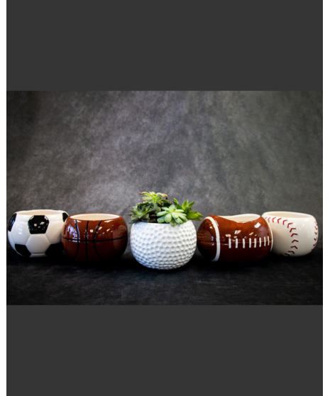 Succulent Sports Planter