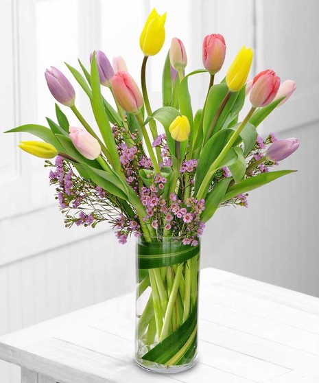 Spring Tulips