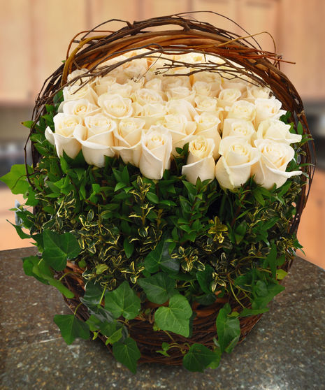Garden of Roses