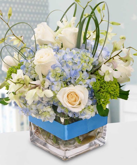 Welcome a special baby boy with this cube arrangement filled with hydrangea, sweet roses and dancing fancy greens. A perfect blue ribbon completes this arrangement!
