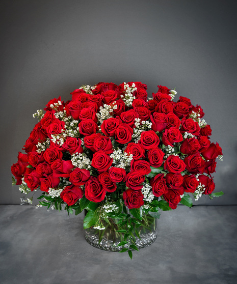100 Premium Roses