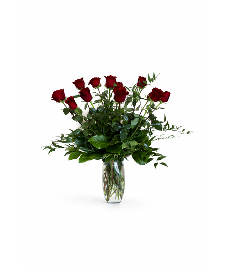 Premium Red Roses
