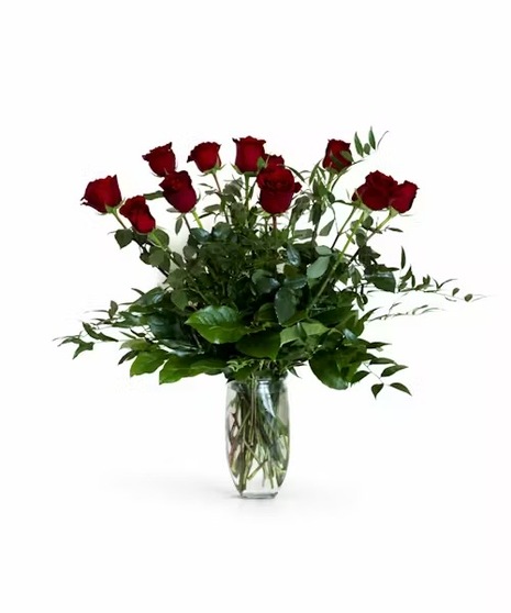 Premium Red Roses