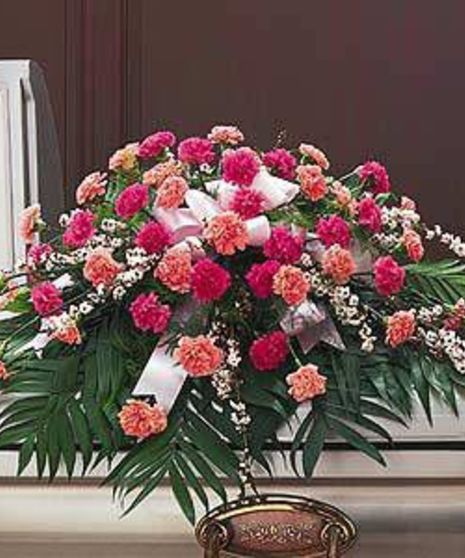 Delicate Pink Spray