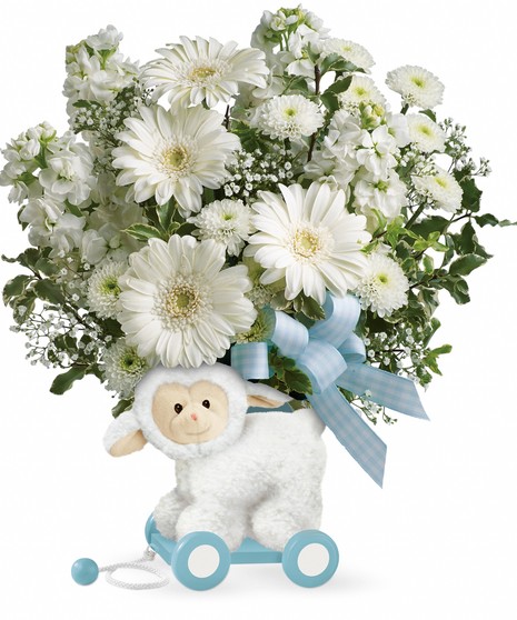 Send a sweet surprise for a sweet new baby.
