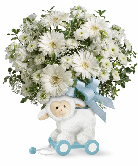 Send a sweet surprise for a sweet new baby.