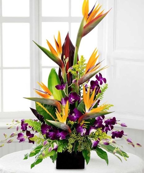 Birds of paradise, dendrobium orchids and tropical greenery in a modern container arrangement