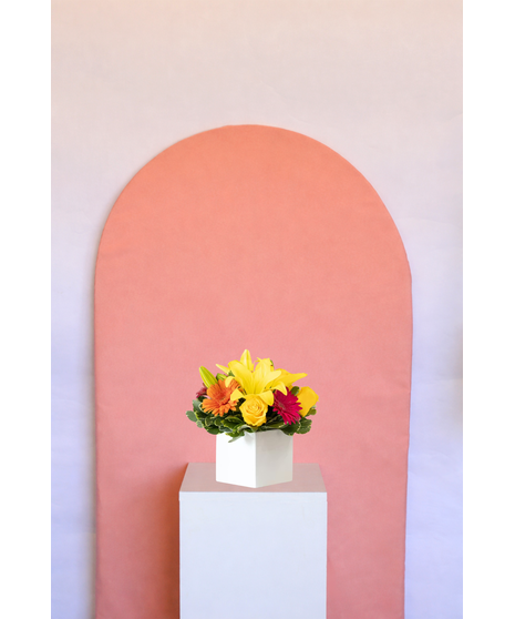 Bright & Cheery