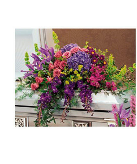 Graceful Tribute