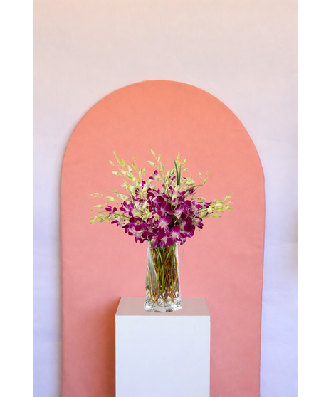 ORCHID DELIGHT