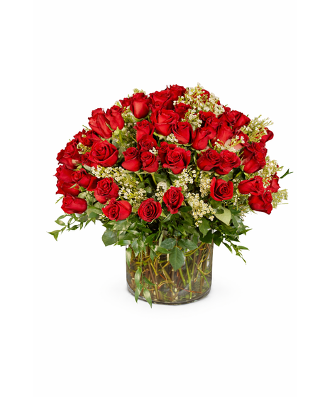 100 Premium Roses