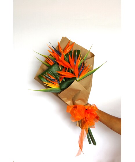 Wrapped Tropical Bouquet