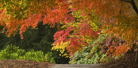 Fall-Blog