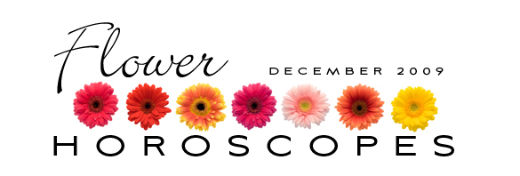 Dec-title
