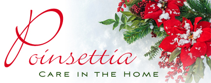 Poinsettia