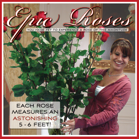 EpicRose-2010