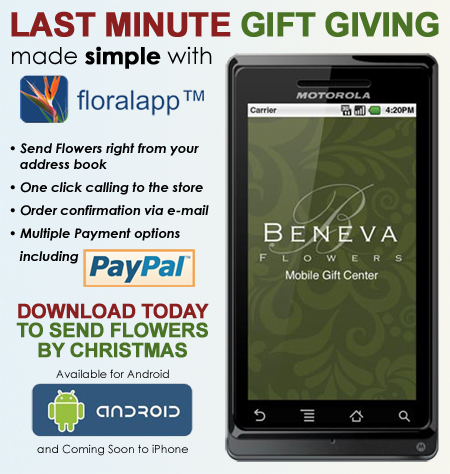 Holiday-FloralApp-Blog