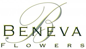 Beneva